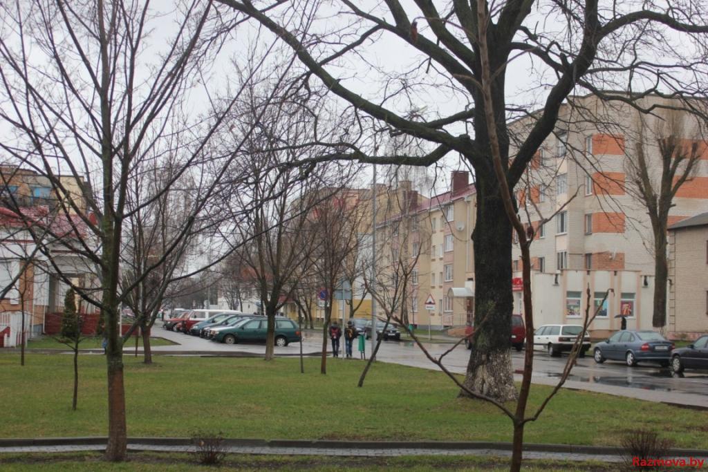 Сыра і сумна